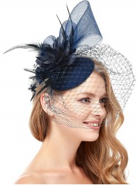 Bleu Femmes Tea Party Bandeau Kentucky Derby Mariage Cocktail Fleur Maille Plumes Pince À Cheveux