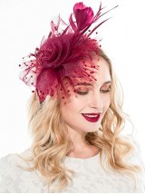 Bourgogne femmes Tea Party bandeau Kentucky Derby mariage Cocktail fleur maille plumes pince à cheveux